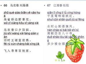 娱乐吃瓜图片图文并茂,明星幕后吃瓜瞬间，图解八卦风云