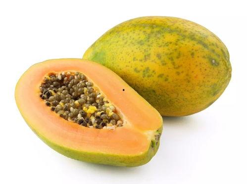 娱乐吃瓜酱橙色