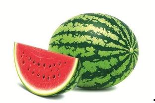 娱乐吃瓜酱橙色